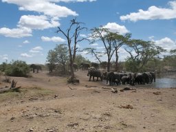 Western_Corridor2009-22